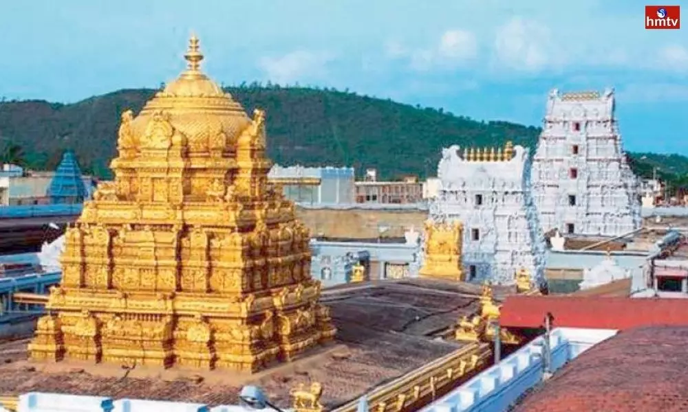Araku Supplied 2 Thousand Kilograms Turmeric to Tirumala Tirupati | TTD Latest News