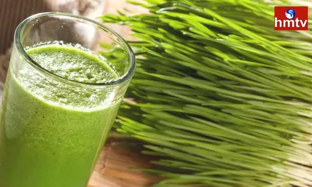 Wheatgrass Juice is a Divine Medicine for Diabetics