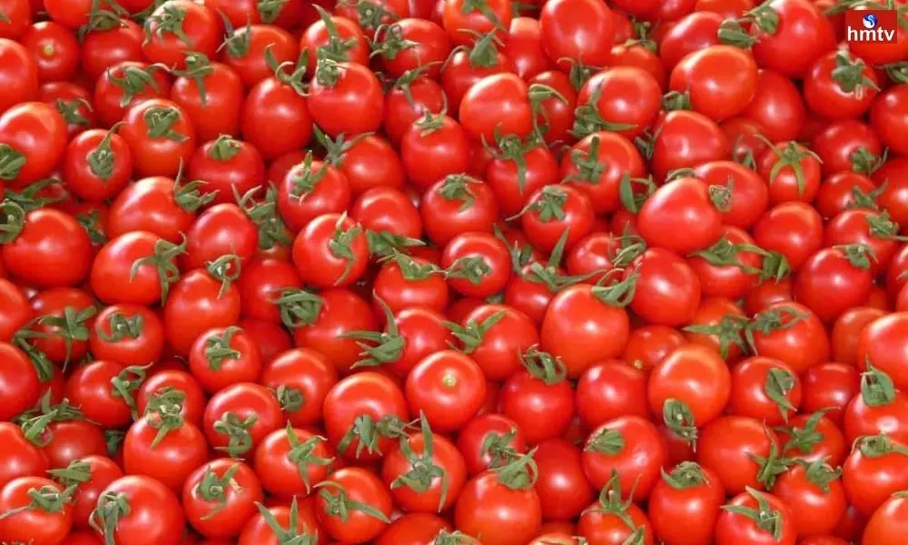 Tomato Price Hike Today Tomato Price Today per Kg | Live News Today