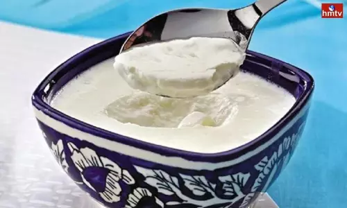 Yogurt Should not be Eaten With These Ingredients Even by Mistake