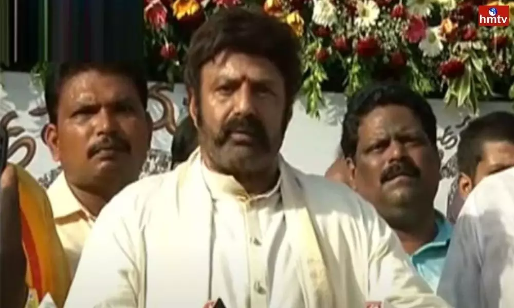 MLA Balakrishna Comments on YCP Government | AP News