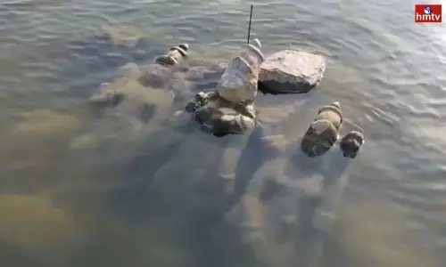 Lord SriRam Ancient Idols In The Krishna River | TS News