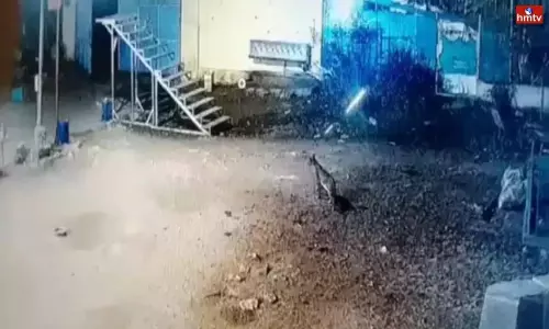 Leopard wandering in Coimbatore Tamil Nadu | National News Leopard wandering in Coimbatore Tamil Nadu | National News