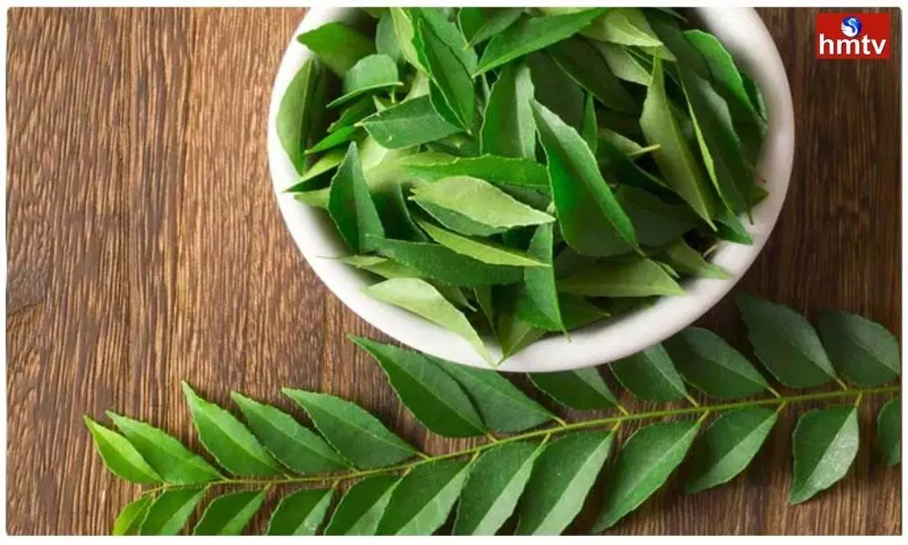 If you know the Medicinal Properties of Curry Leaves will not Leave at All