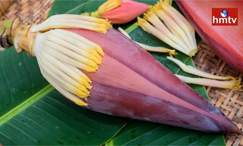 The Banana Flower Satisfies The Anemia in the Body