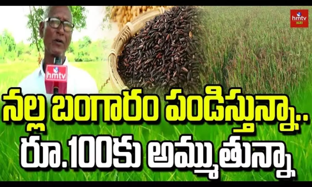 Black Rice Cultivation Farmer Venkateswara Rao Success Story