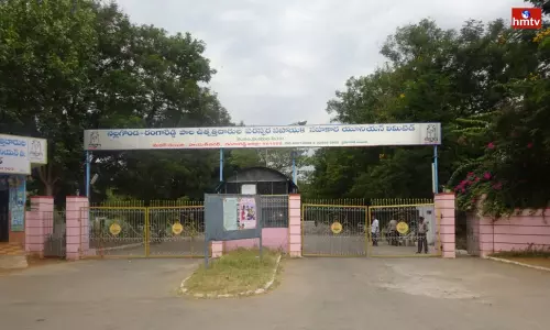 Mothers Diary Collecting Milk for 30 Years | News