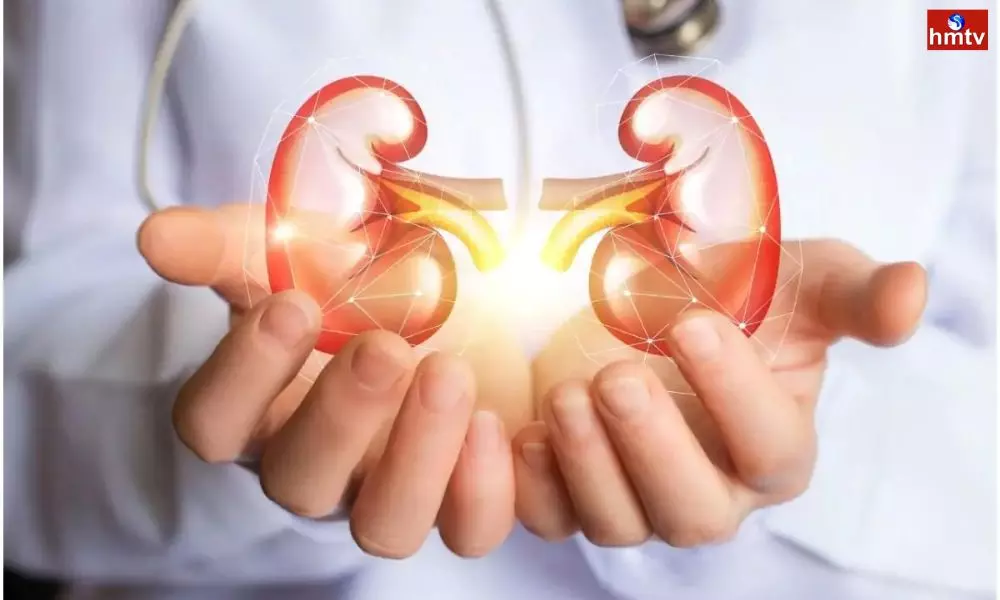 Stop These Bad Habits Immediately Otherwise the Kidneys Will get Damaged