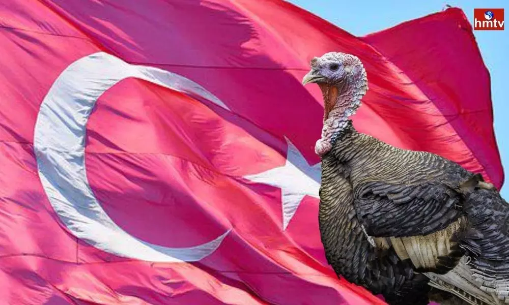 Turkey Officially Changes Name at United Nations to Turkiye