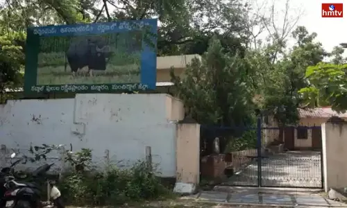 Allegations Against Forest Officials in Manchirala District