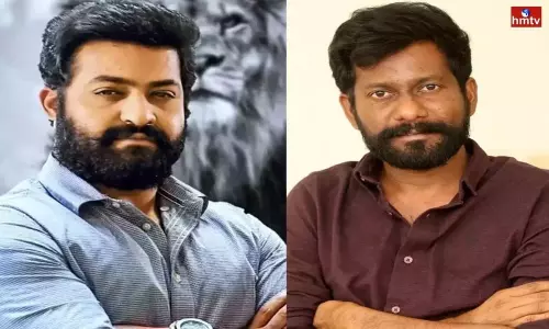 Will Buchi Babu NTR Movie be Counted Soon?