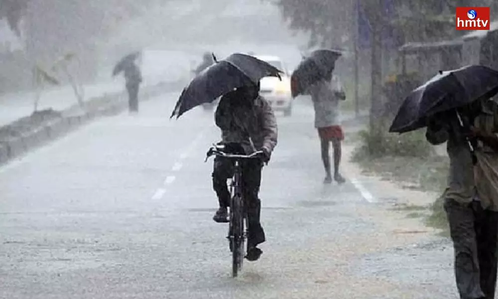 Rains in Andhra Pradesh | Andhra News