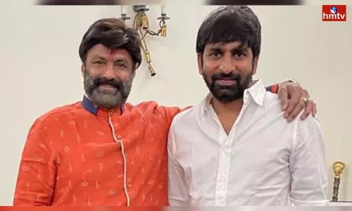 Gopichand Malineni to Direct Mahesh Babu Movie