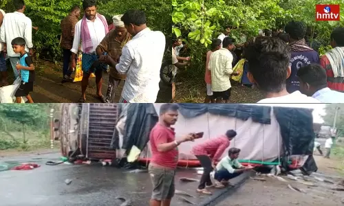 Fish Lorry Road Accident in Bhadradri Kottagudem District Fish Lorry Road Accident in Bhadradri Kottagudem District