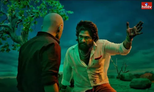 Allu Arjun Character in Pushpa 2 Movie go Viral on Social Media