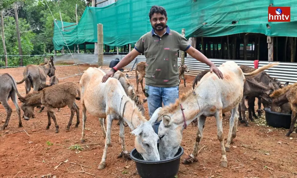 Man Quits IT Job to Open Donkey Milk Farm in Mangaluru | Karnataka News