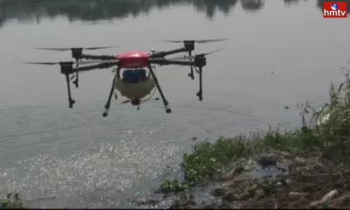 Mosquito infestation in Bhagyanagar