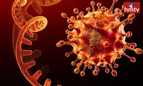 Corona cases that have increased massively in the country