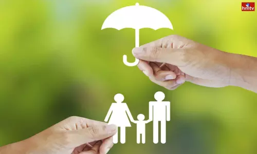 Postponing Term Insurance Find out These Things