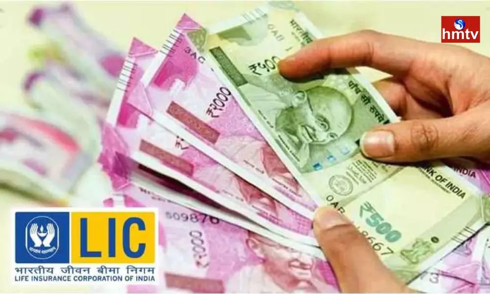 LIC Launches Dhan Sanchay Savings Sife Insurance Plan Chek for All Details