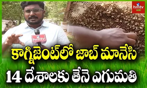 Honey Bee Farming Success Story Of Farmer Banu Teja Honey Bee Farming Success Story Of Farmer Banu Teja