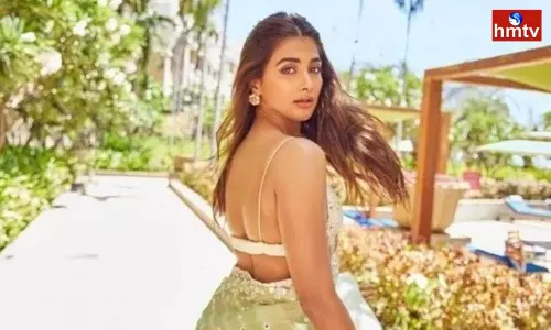 Beast Movie Producers Who Shocked Pooja Hegde | Kollywood News