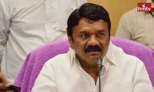 Talasani Srinivas Yadav Said Film Chamber and Producer Council activists should be called for discussions