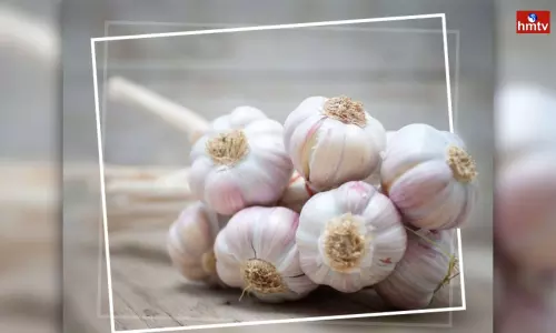 Like They Should not Eat Garlic Even by Mistake Like They Should not Eat Garlic Even by Mistake