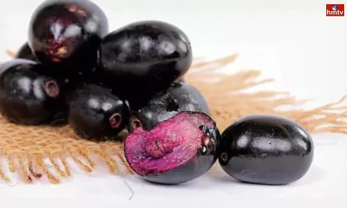 Men Must Eat Java Plum and Java Plum Benefits Men Must Eat Java Plum and Java Plum Benefits