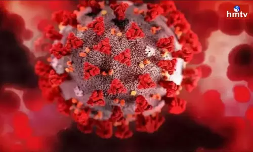 17,336 News Cases In India | Telugu News