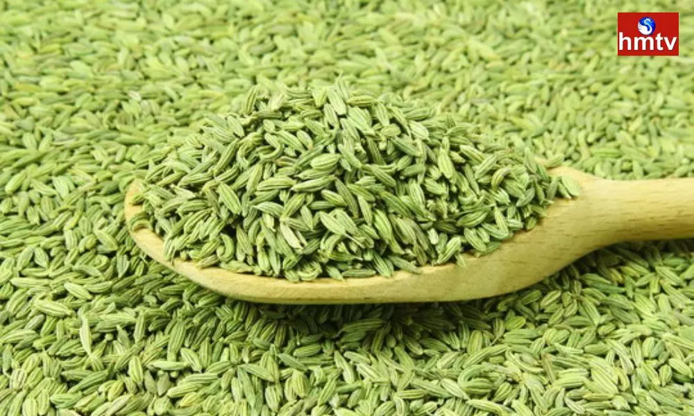 Eating Green Fennel can Help Control Blood Pressure and get These Amazing Health Benefits