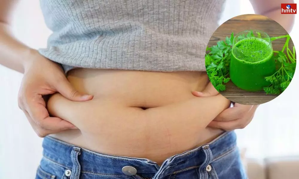 If you Want to Melt Belly Fat Drink Coriander Juice on the Empty Stomach