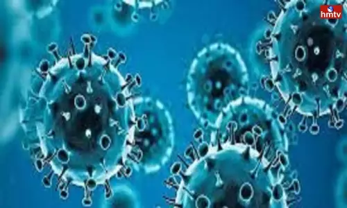 17,073 News Cases In India | Telugu News 17,073 News Cases In India | Telugu News