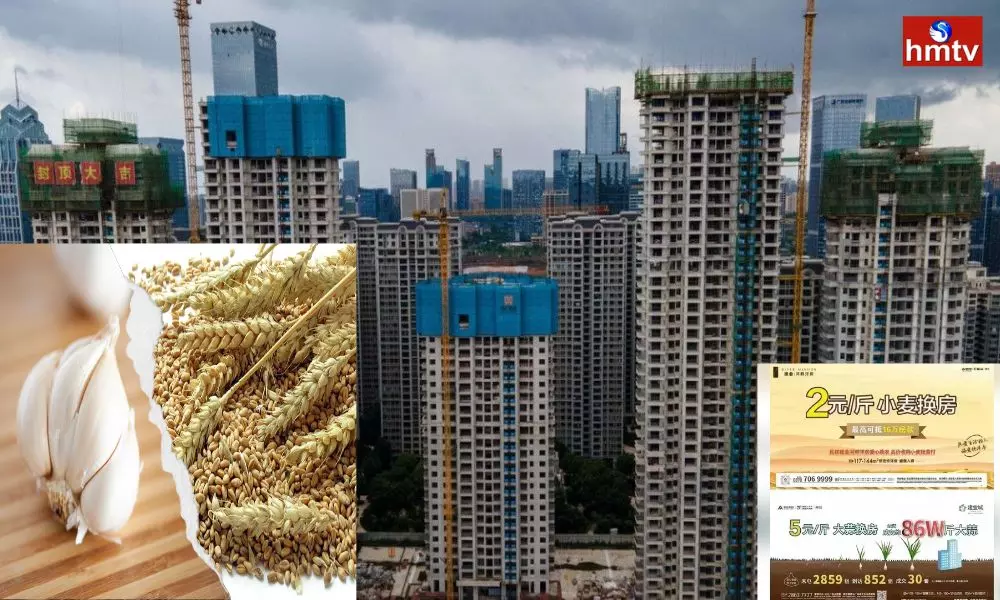 Chinese Property Developer Taking Swap Wheat for Home