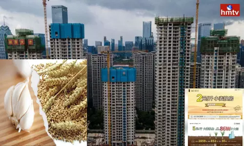 Chinese Property Developer Taking Swap Wheat for Home Chinese Property Developer Taking Swap Wheat for Home