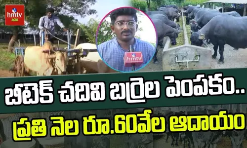 BTech Student Turns Into a Successful Farmer in Dairy Farming BTech Student Turns Into a Successful Farmer in Dairy Farming