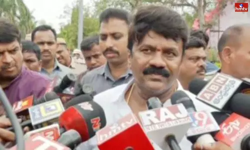 Talasani Srinivas Yadav Criticized the BJP