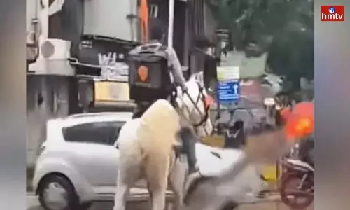 Swiggy Offers Reward For Information On Delivery Man On Horse