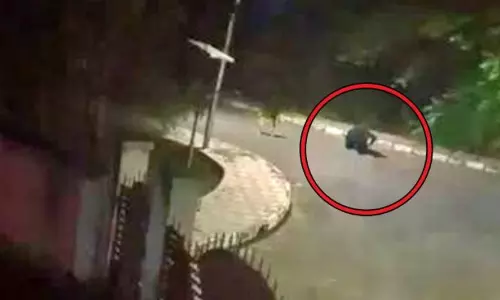 A Bear commotion in Satavahana University of Karimnagar District