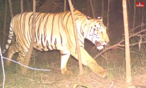 Operation Tiger is Ongoing in Anakapalle District Operation Tiger is Ongoing in Anakapalle District
