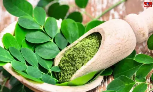 Amazing Benefits of Drumstick Leaves Amazing Benefits of Drumstick Leaves
