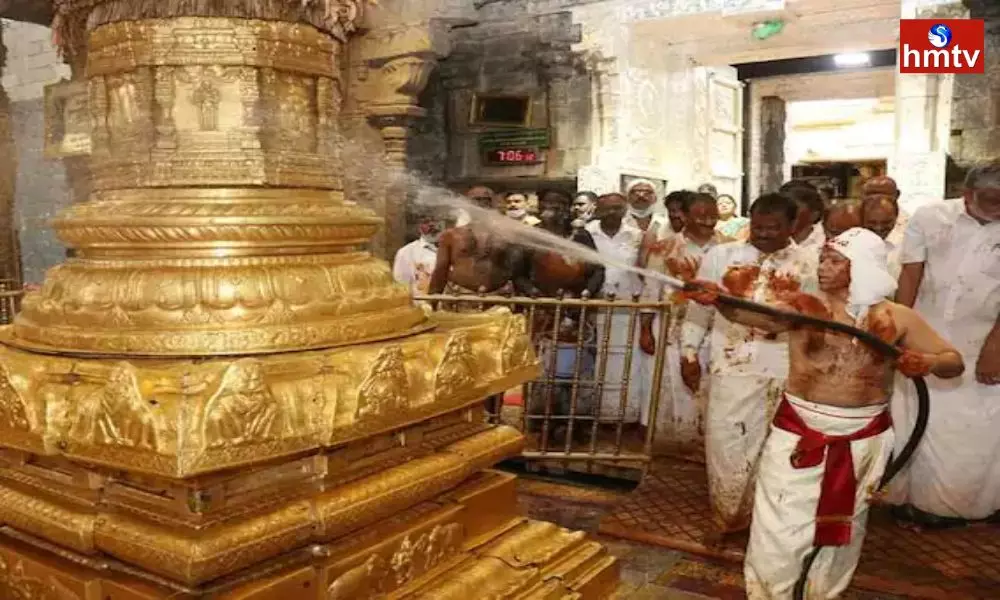 Koil Alwar Thirumanjanam Program at Tirumala Srivari Temple