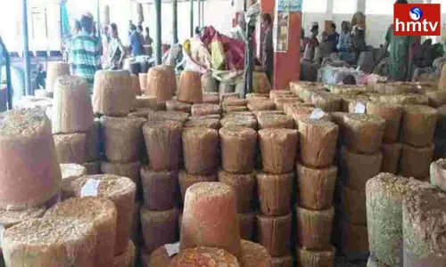 Officials are Cracking Down on the Nallabellam Gang