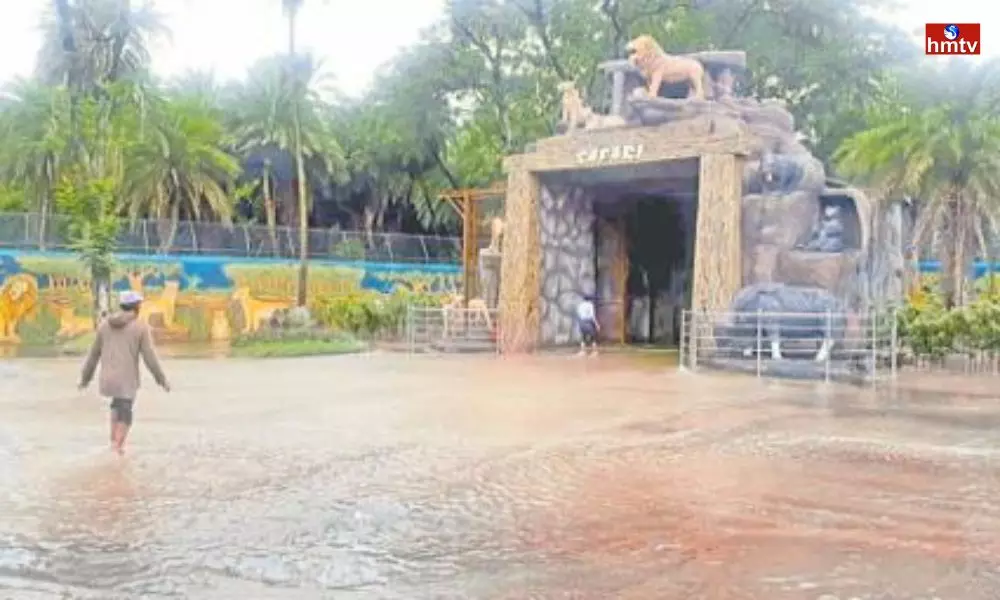Water has Entered the Zoo Park Due to Heavy Rains in Hyderabad