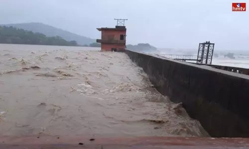 Kadem Project Safe Zone | TS News Kadem Project Safe Zone | TS News