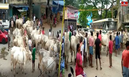 Variety Protest in Tirupati District | AP News Variety Protest in Tirupati District | AP News