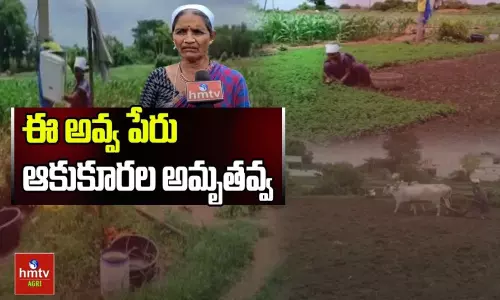 Leafy Vegetables Cultivation, Farmer Amrutavva Success Story