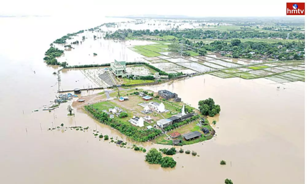 Crop fields submerged in rains in Karimnagar district