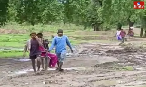 Bhadradri Kothagudem