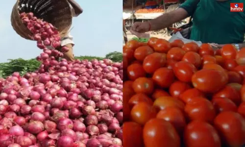 The Average Price of Tomato has Decreased by 29 Percent Compared to June and Onion Prices Have Also Decreased